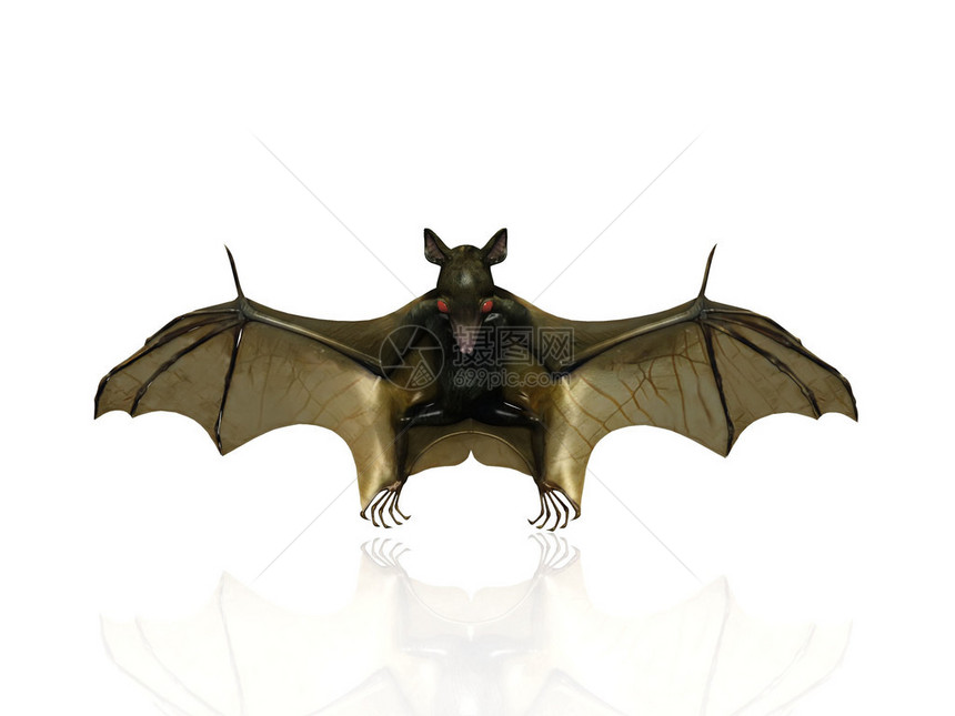 蝙蝠的3d插图图片