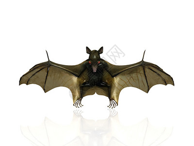 蝙蝠的3d插图图片