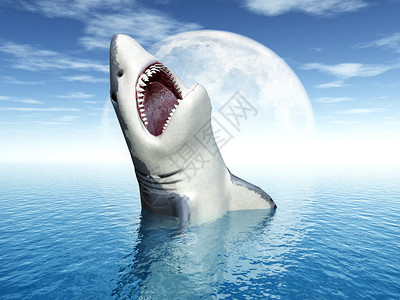 大白鲨鱼计算机生成的3D插图设计图片