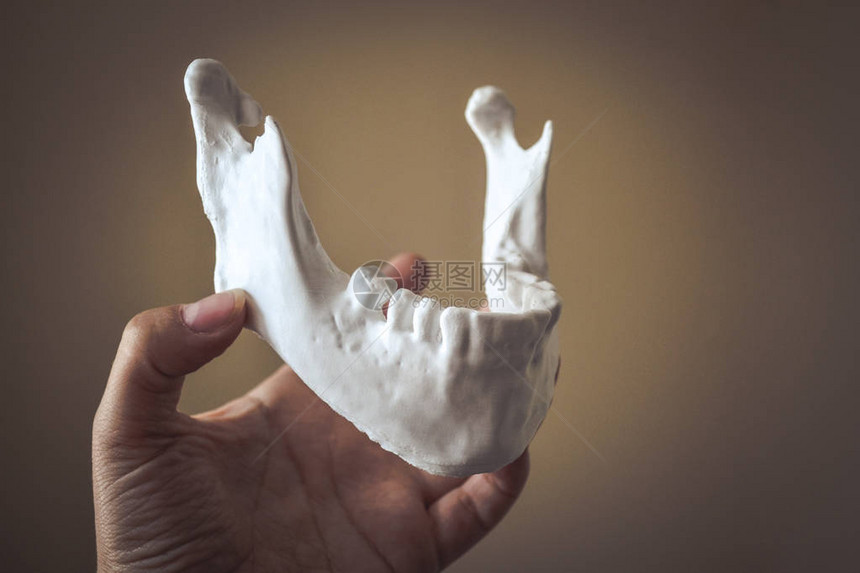 一个女孩在她的手掌特写上拿着用3d打印机打印的下颌骨自动三维进行塑造型先进的现图片