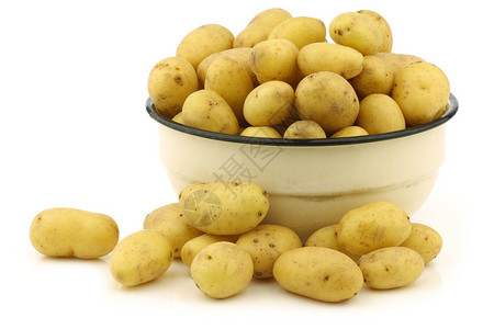 白底土豆krieltjes图片