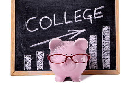 粉红小猪银行拿着眼镜站在黑板前上面写着简单的大学图片