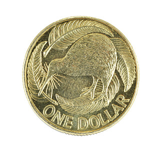 新西兰货币一美元硬币上有两个标志新西兰符号奇异鸟和银蕨叶在白图片