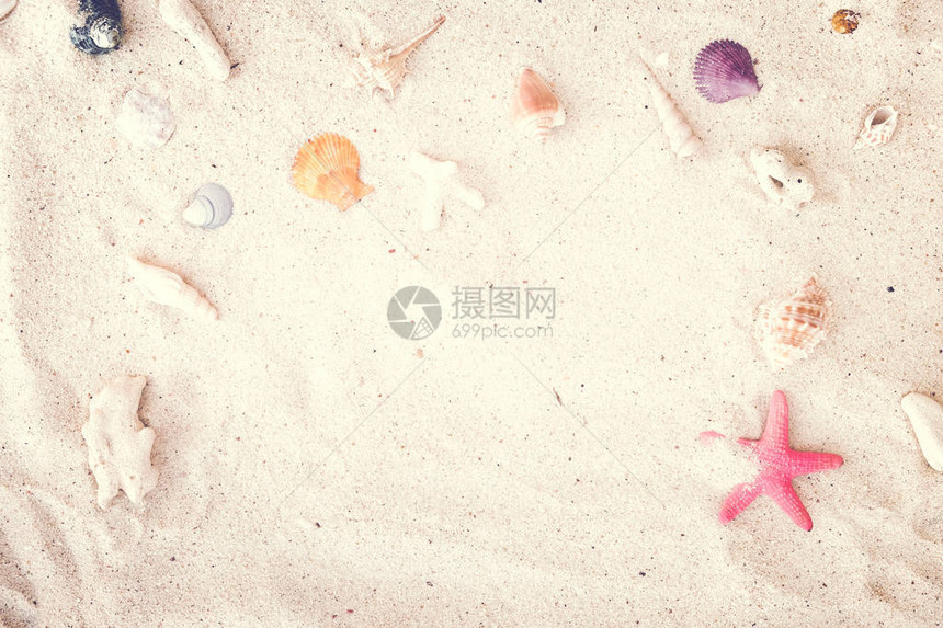 海滩沙子的顶端外观有贝壳和海星夏季背图片