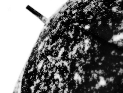 冬季降雪时白雪和雨伞图片