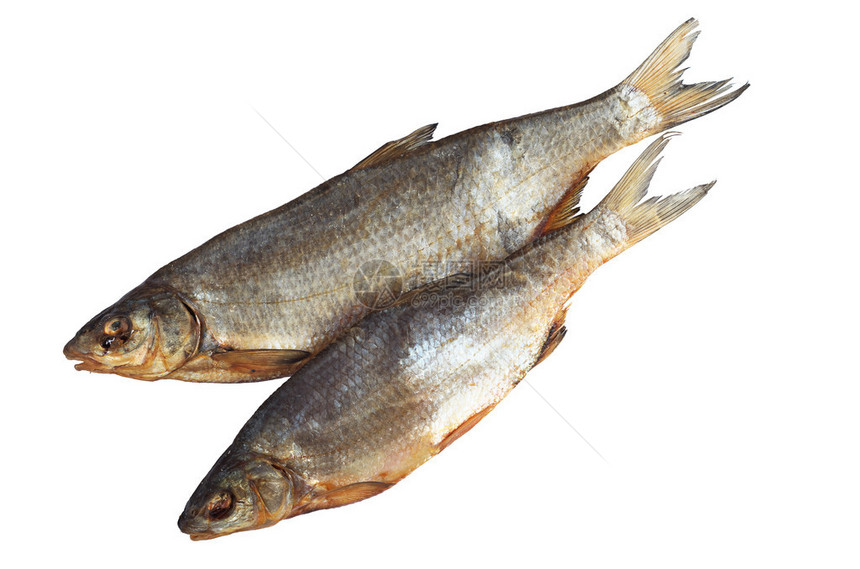 两条盐咸干鱼被白底的白底图片