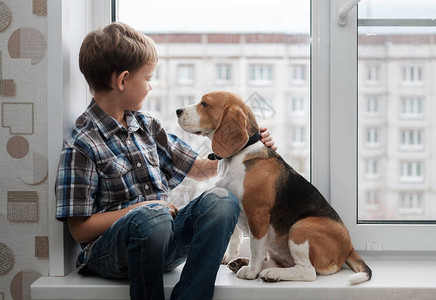 欧洲男孩欧洲外貌和比格尔狗坐在公寓房子的图片