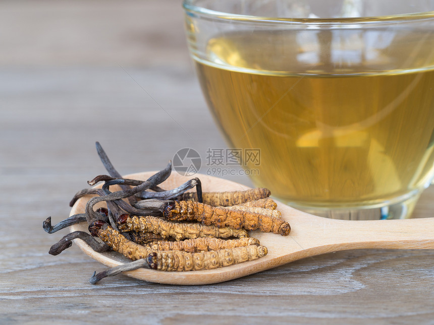 一组冬虫夏草或蘑菇冬虫夏草图片