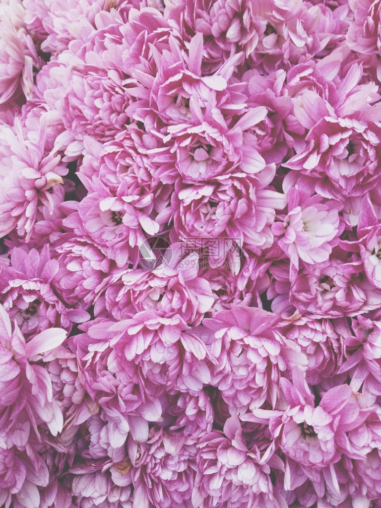 粉红色的花束背景图片