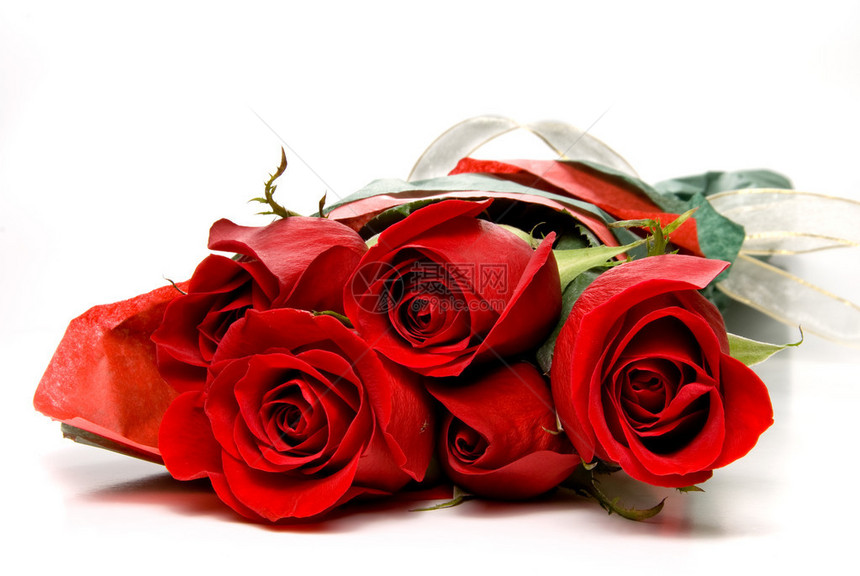 一束可爱的红玫瑰礼物图片
