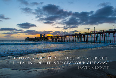 生命的意义在于将你的天赋赠与出去DavidViscott大卫维斯科特图片