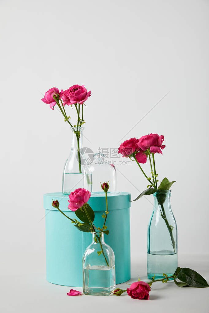 粉红玫瑰花在透明瓶子中图片