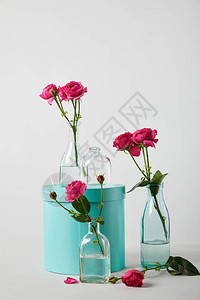 粉红玫瑰花在透明瓶子中图片