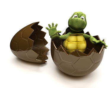 乌龟与酯蛋的3D渲染背景图片