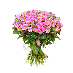 一百朵粉红玫瑰白色背景上的一束鲜花很棒的礼物图片