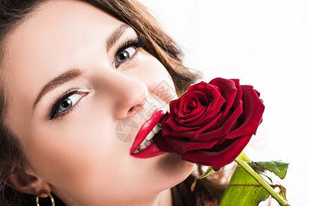在白日情人节概念中孤立的红玫背景图片