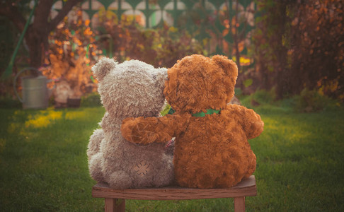 可爱的情侣泰迪熊在花园的图片