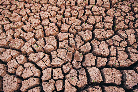 土壤干旱季节缺水图片