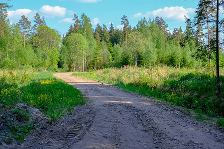 清空的碎石路在农村有泥土足迹在森图片