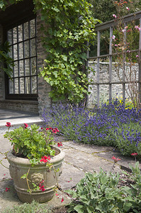 有陶瓷花盆的英式庭院图片