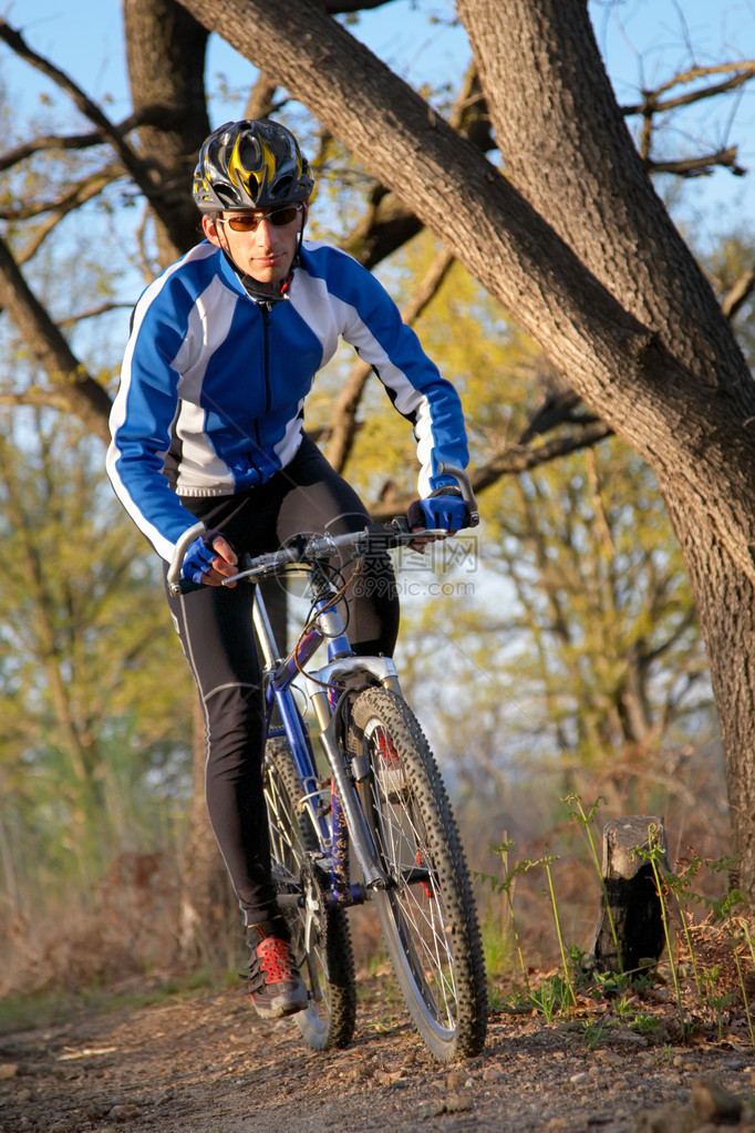 一名男山上骑脚踏车的男子在树林中图片