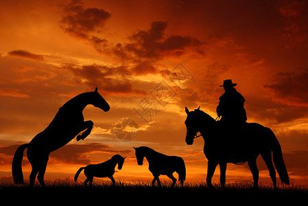 夕阳下有马的剪影牛仔图片