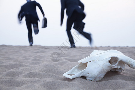 两名商人在沙漠中部从动物头骨上跑出来图片