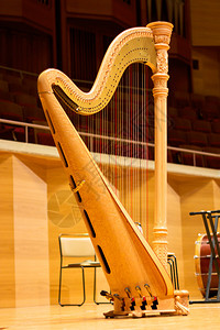 音乐厅里漂亮的竖琴哈背景图片