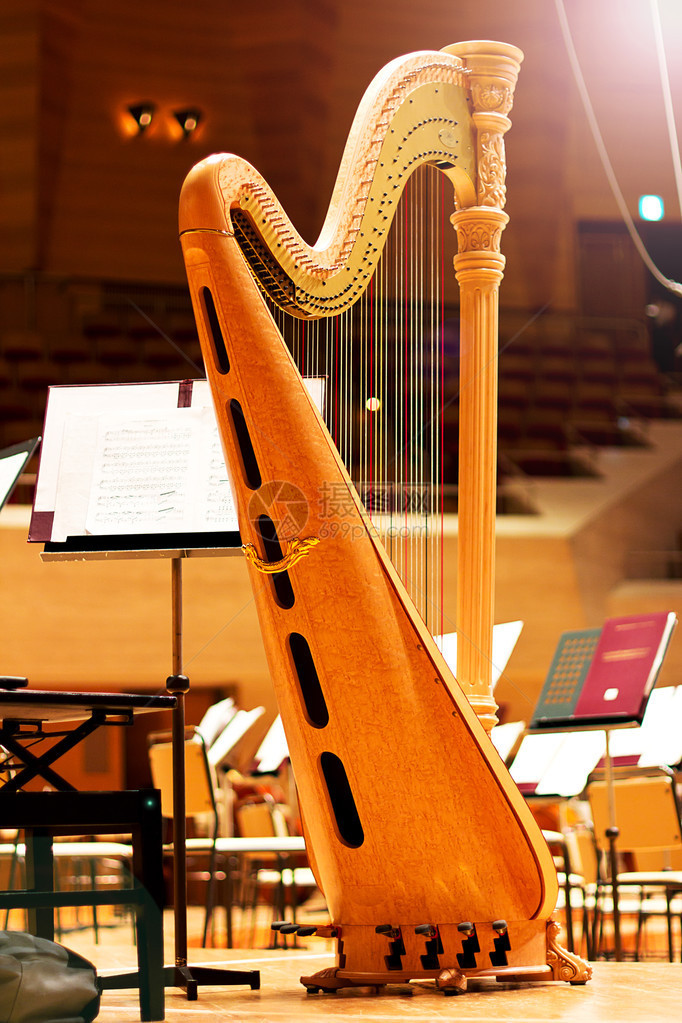 大音乐厅里的竖琴乐器图片