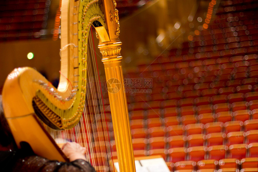 音乐厅里漂亮的竖琴哈图片