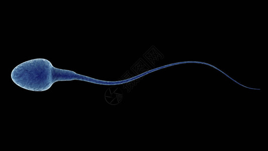 精子库3D让蓝色精子设计图片