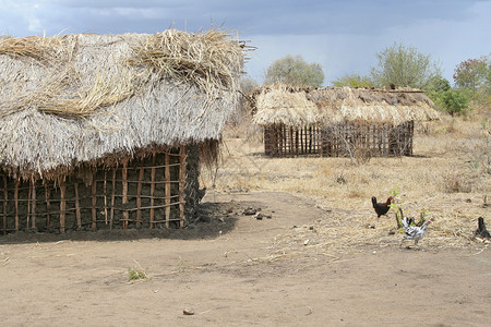 东非村庄的传统民居图片