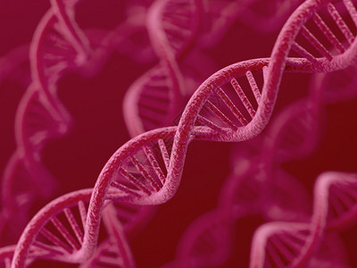 3d在红色背景上将DNA背景图片