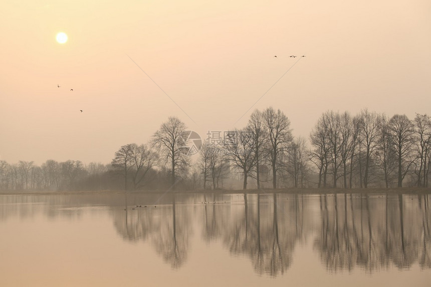 雾蒙的早晨湖面上的日出图片