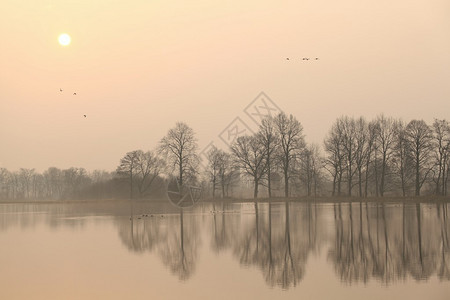 雾蒙的早晨湖面上的日出背景图片