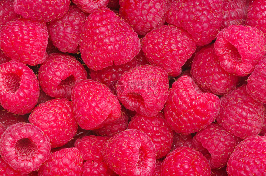 成熟的红树莓背景图片