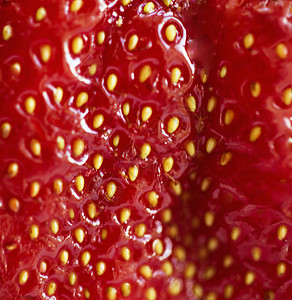 草莓特写质地模糊红色可口背景图片