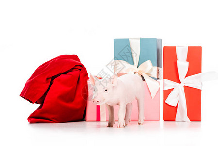 圣诞礼物附近的可爱小猪和红包图片