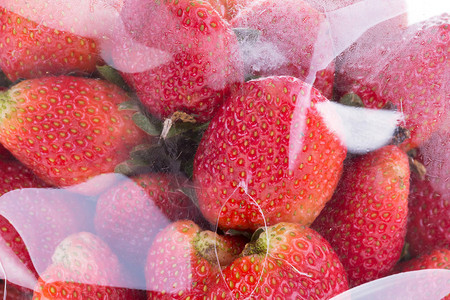 塑料袋包装草莓多汁水果图片