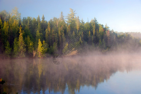 奎蒂科省立公园贝尔湖晨雾图片