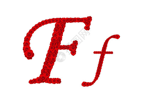 玫瑰字母字母F和f由白色背景上的图片