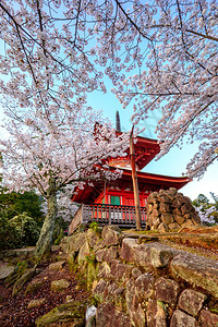日本宫岛美景中的寺庙图片