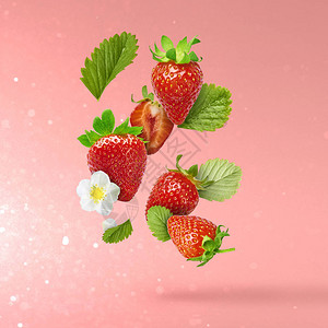 飞行新鲜美味成熟草莓与绿叶在浅粉色背景食品悬浮概念创意食物布局图片