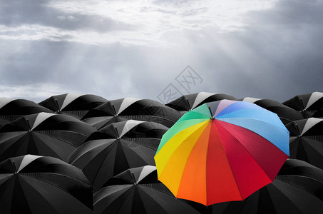 黑色雨伞质量中的彩色雨伞背景上图片
