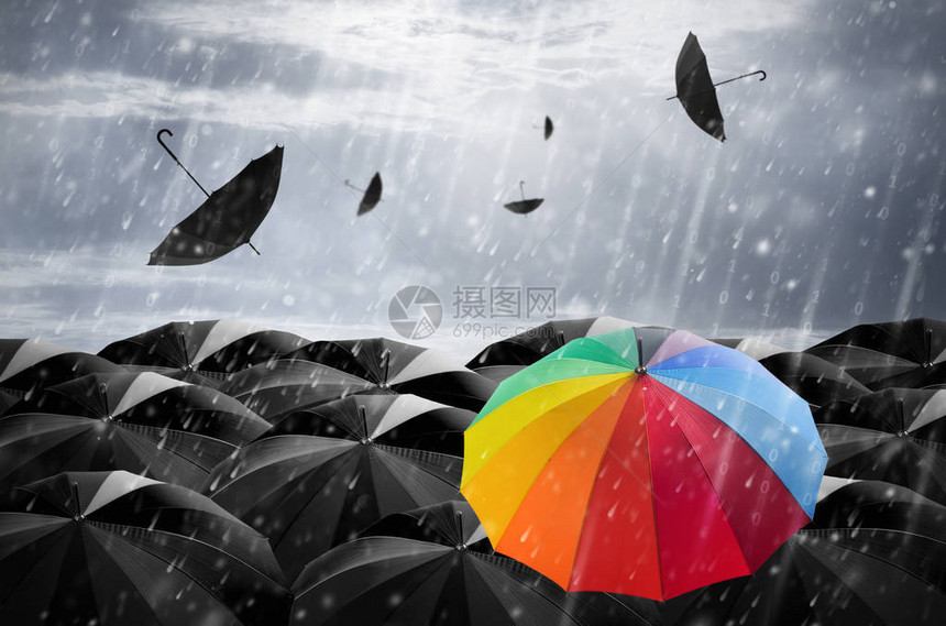 雨下时黑伞质量中的黑色雨图片