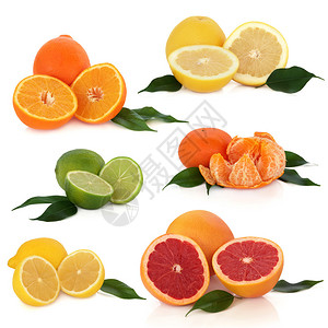柠檬酸橙子橘子和葡萄柚的柑橘类水果收集与叶小枝背景图片