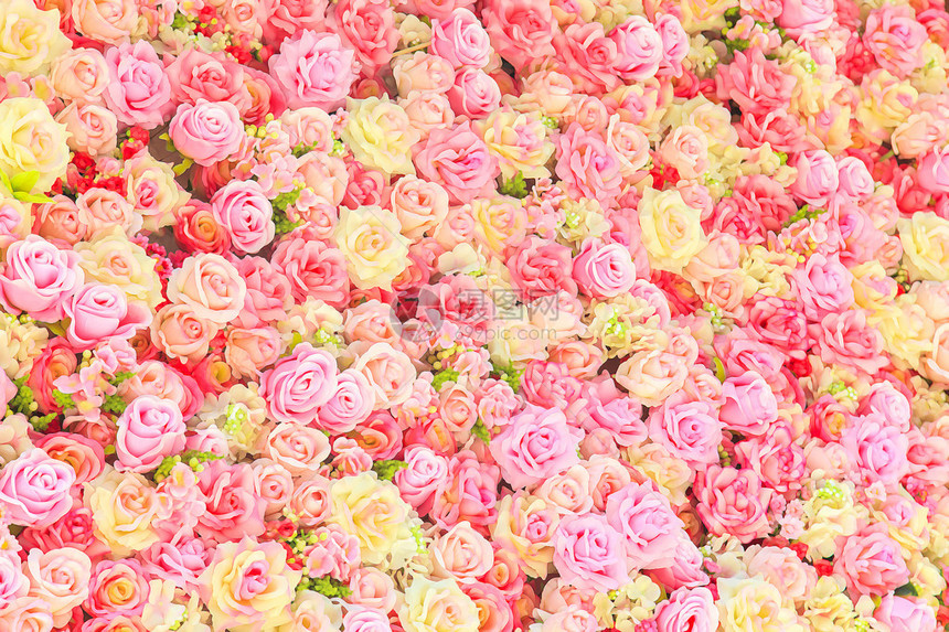 美丽的七彩玫瑰背景图片