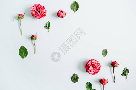 花朵边框由红玫瑰制成图片