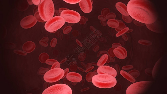 3d红色血细胞通过动脉和滑图片