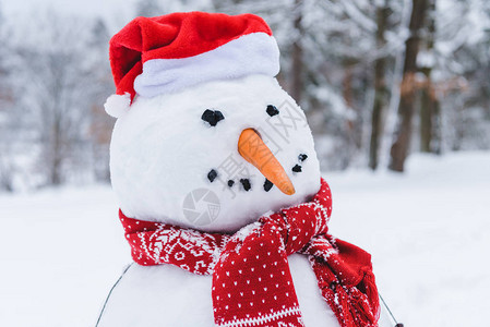 冬季公园里戴着围巾和圣诞老人帽子的滑稽雪人的特写镜头图片